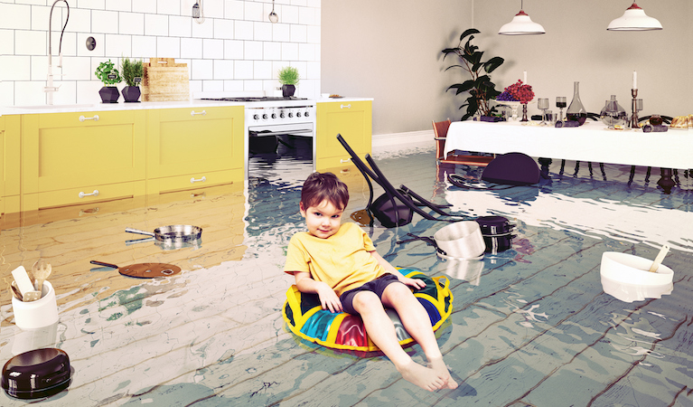 home flood emergency loan